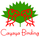 www.cayaya-birding.com